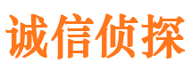 武城外遇调查取证